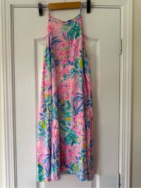 Lilly Pulitzer Margot Swing Dress in It Was All A Dream